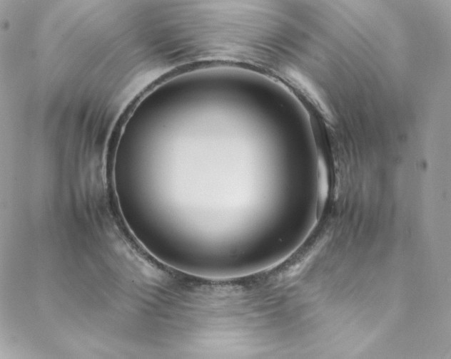 X0000089460884200706151431