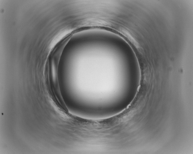 X0000089460885200706151431