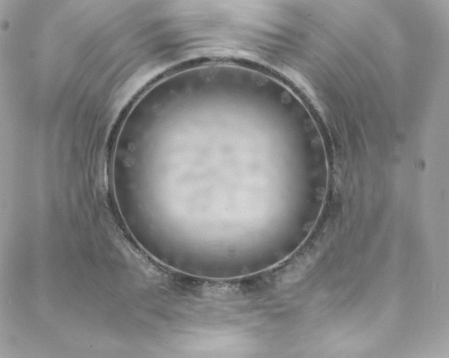 X0000089460887200706151431