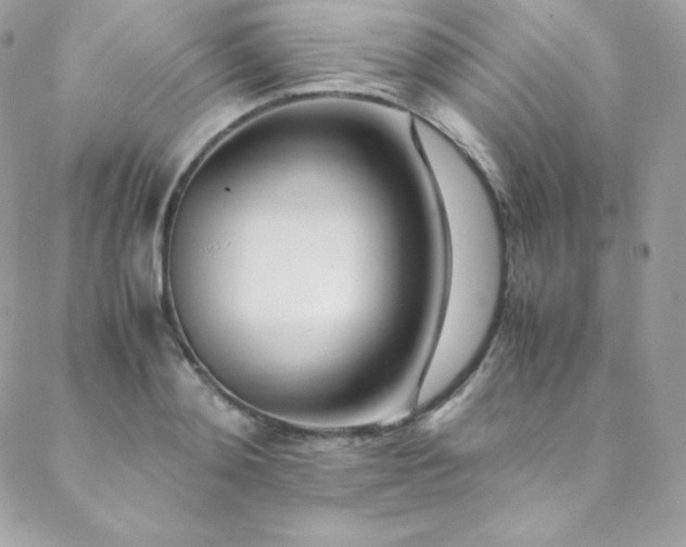 X0000089460892200706151431