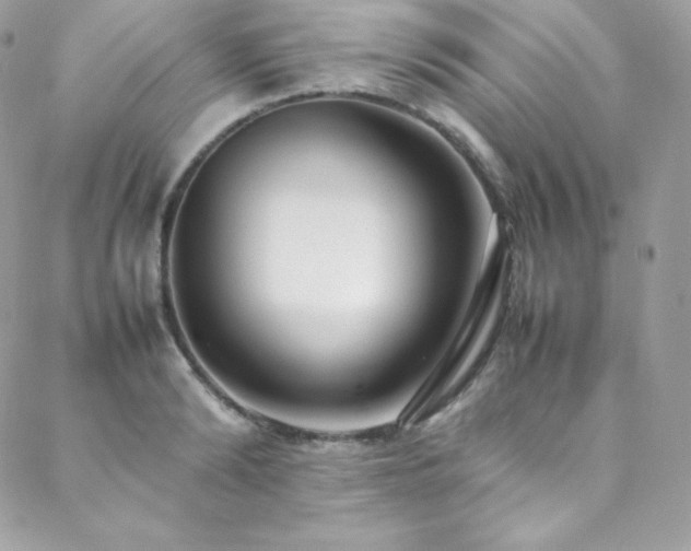 X0000089460894200706151431