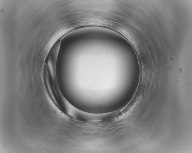 X0000089460901200706151431