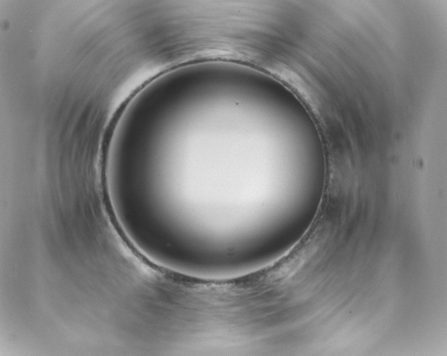 X0000089460902200706151431