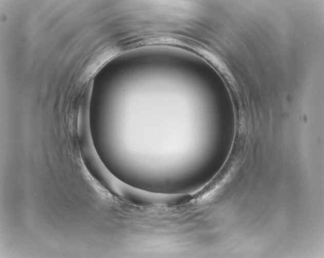 X0000089460905200706151431