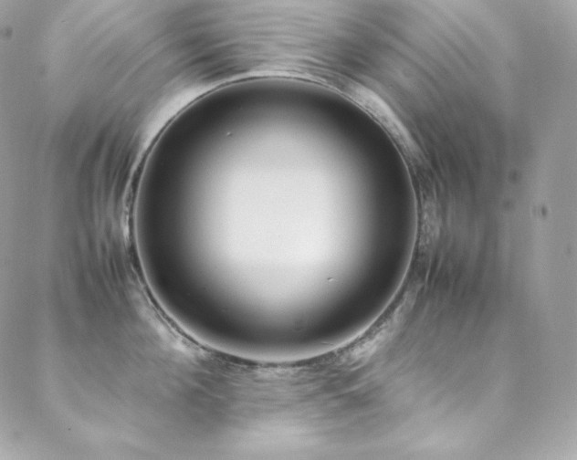 X0000089460908200706151431