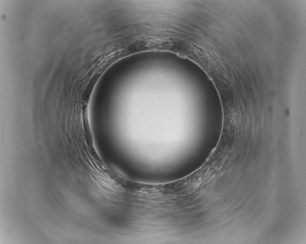 X0000089460914200706151430