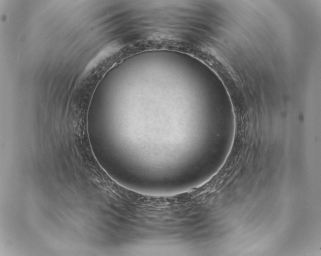 X0000089460919200706151430