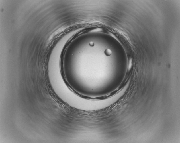 X0000089460920200706151430