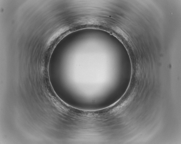 X0000089460922200706151430