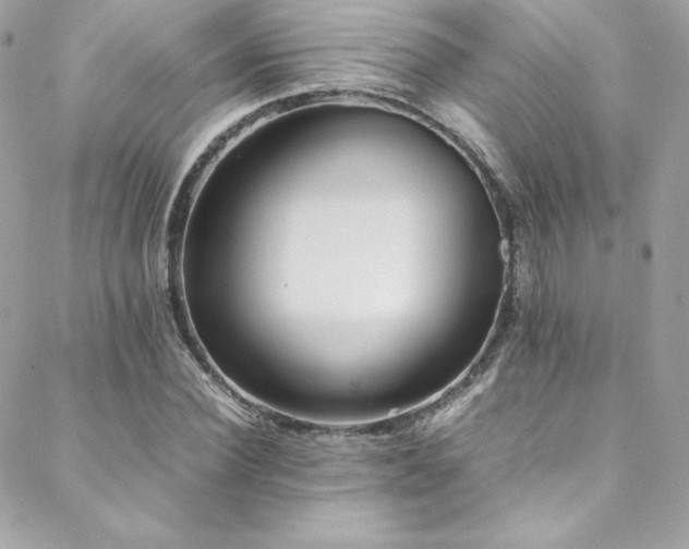X0000089460924200706151430