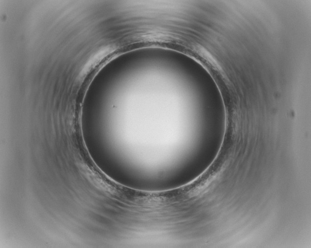 X0000089460930200706151430
