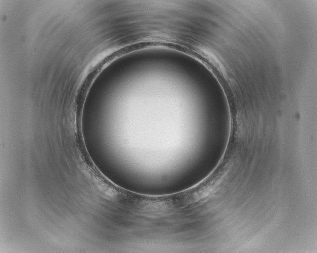 X0000089460931200706151430