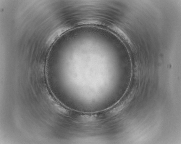 X0000089460937200706151430