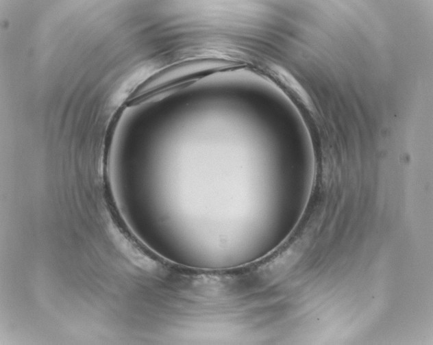 X0000089460938200706151430