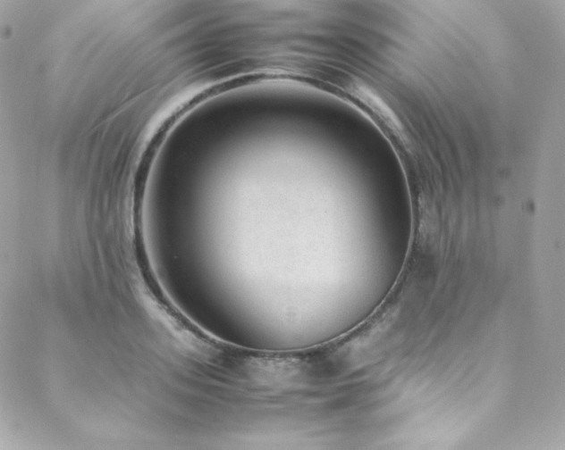 X0000089460939200706151430