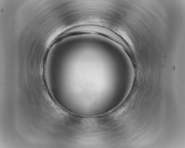X0000089460944200706151430