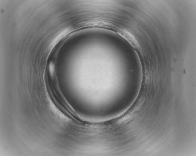 X0000089460946200706151430