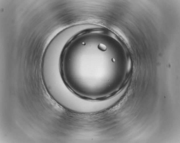 X0000089460948200706151430