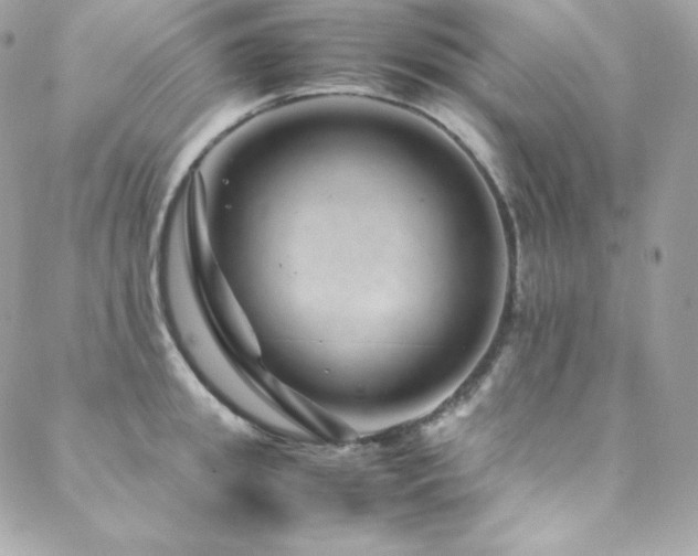X0000089460949200706151430