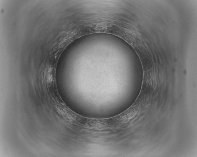 X0000089460962200706151430