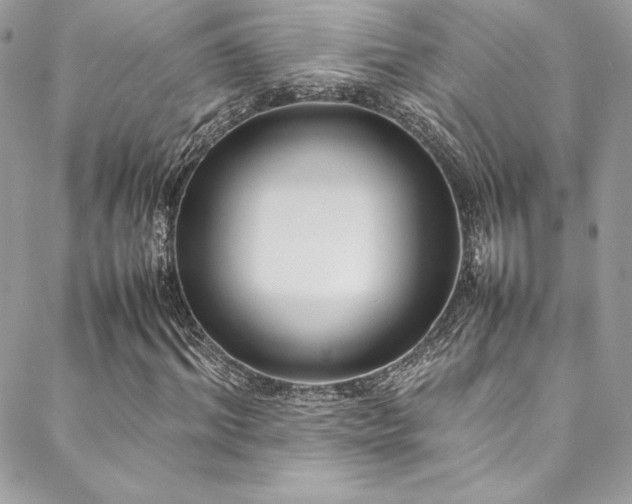X0000089460964200706151430