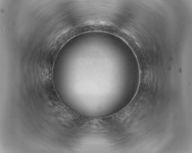 X0000089460966200706151430