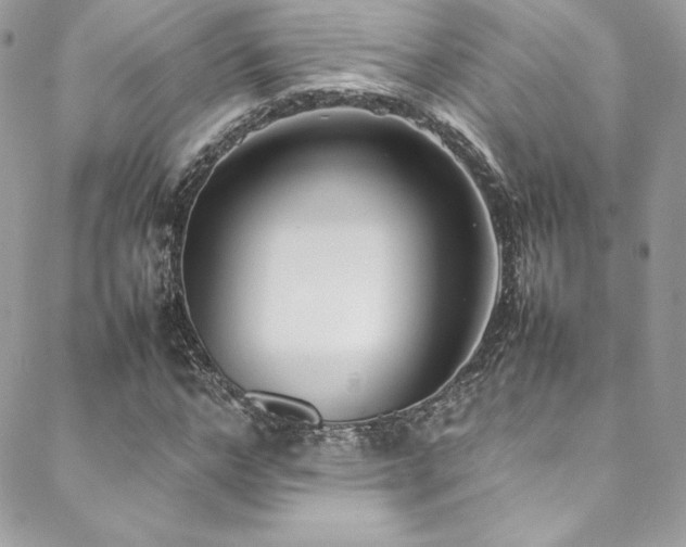 X0000089460968200706151430