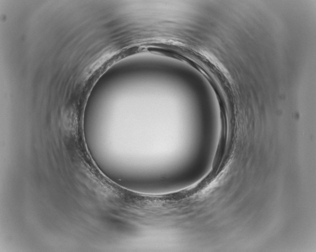 X0000089460969200706151430