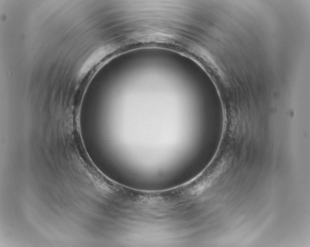 X0000089460978200706151429