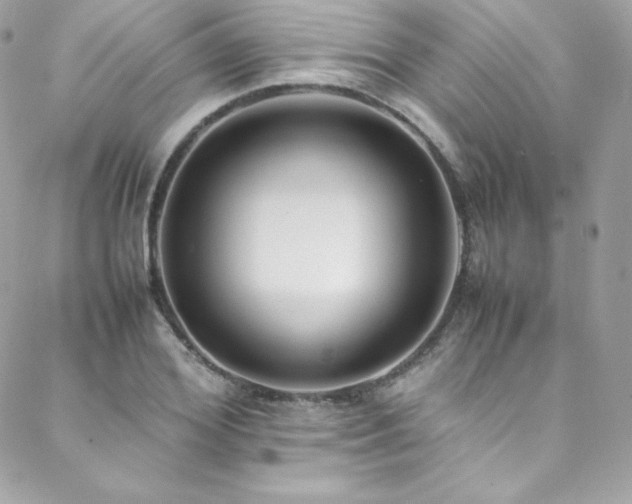 X0000089460980200706151429