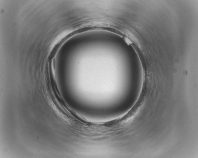 X0000089460981200706151429