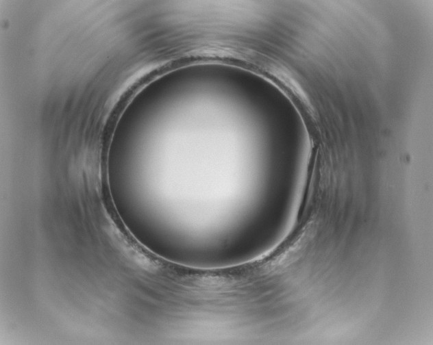 X0000089460984200706151429
