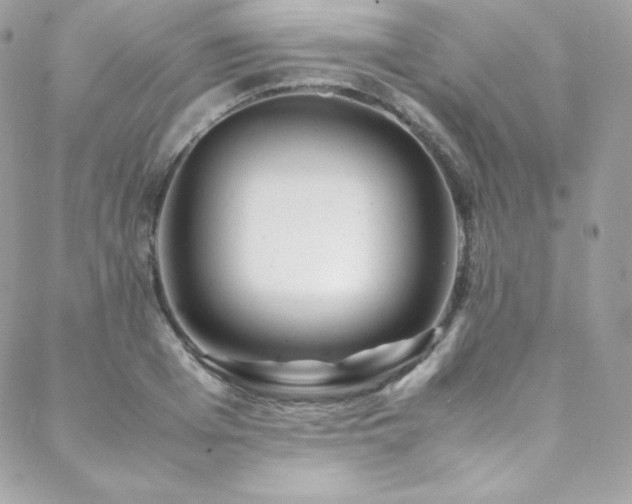 X0000089460985200706151429