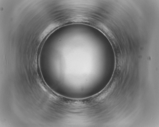 X0000089460986200706151429