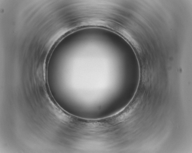 X0000089460988200706151429