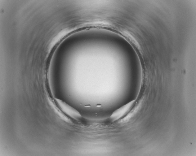 X0000089460989200706151429