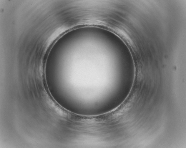 X0000089460990200706151429