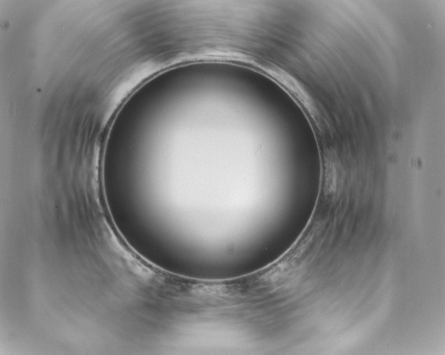 X0000089461006200706151429