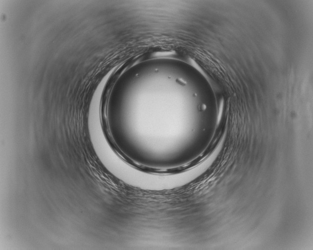 X0000089461010200706151428