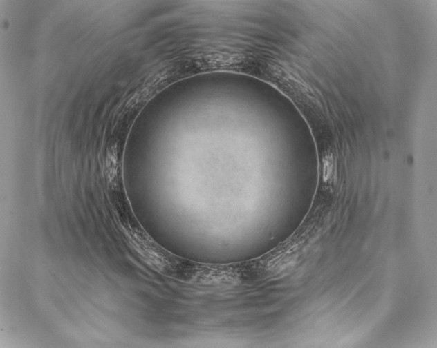 X0000089461011200706151428
