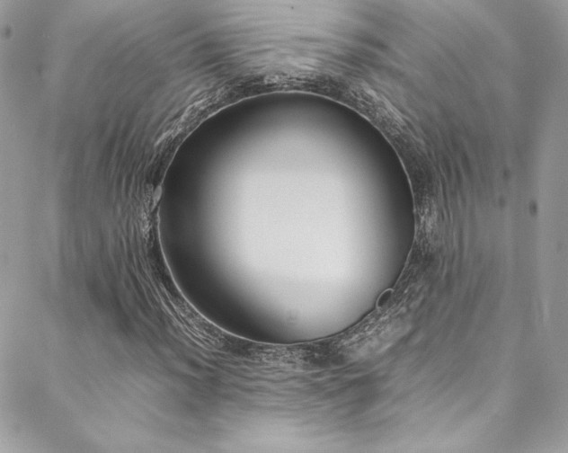 X0000089461012200706151428