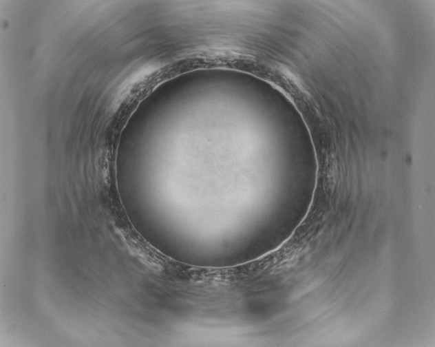 X0000089461016200706151428