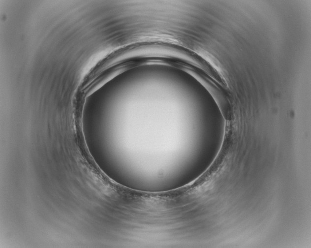 X0000089461022200706151428