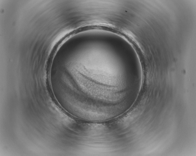 X0000089461024200706151428