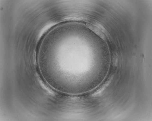 X0000089461030200706151428