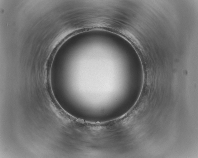 X0000089461031200706151429
