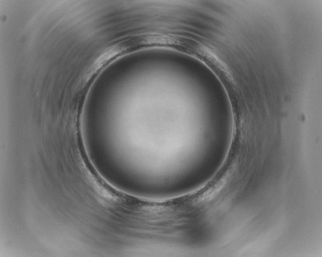 X0000089461033200706151429