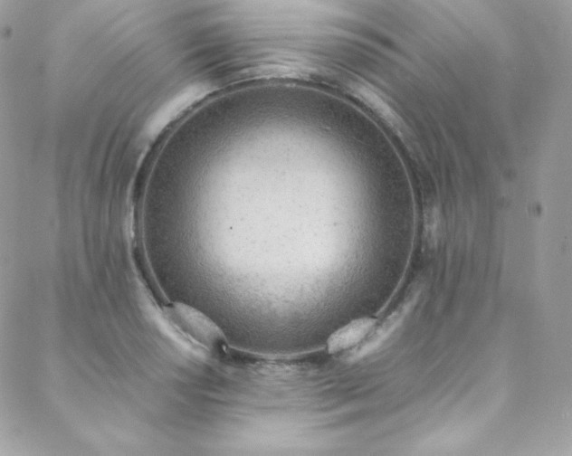 X0000089461034200706151429
