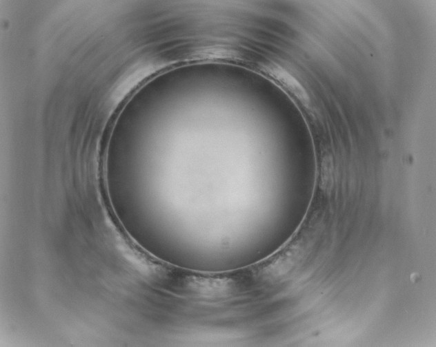 X0000089461039200706151429