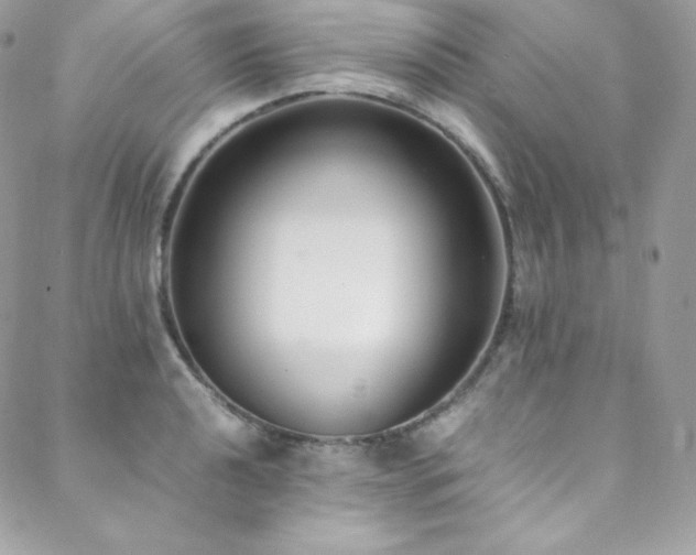 X0000089461040200706151429